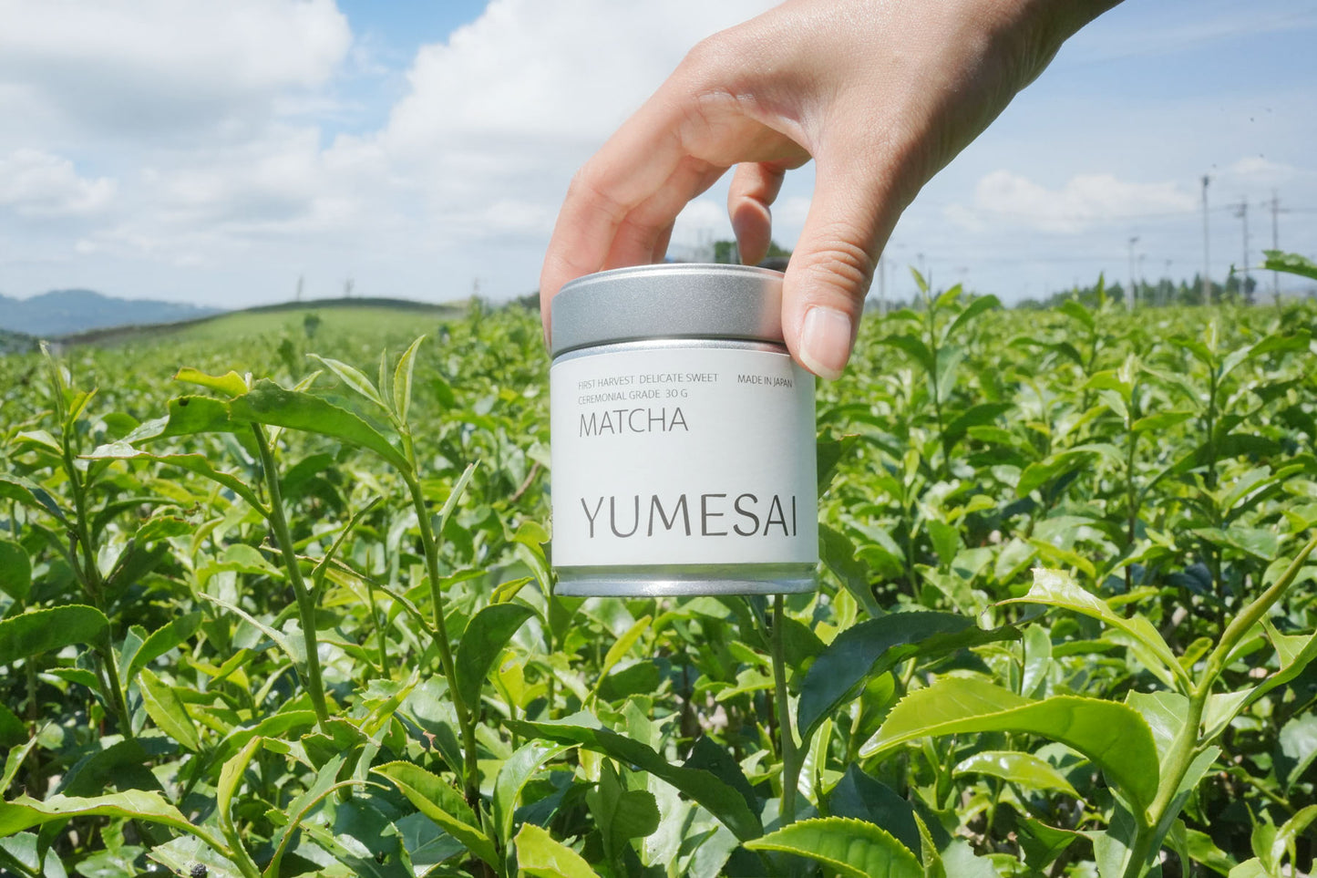 YUMESAI Matcha 30 G